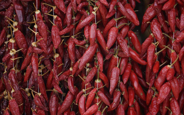 food pepper HD Desktop Wallpaper | Background Image