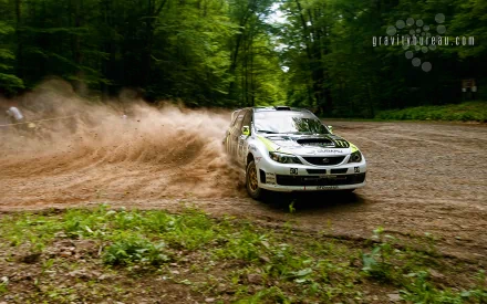A Subaru rally car speeds through a forested terrain, kicking up dust as it navigates a sharp turn. This dynamic image captures the excitement of rally racing.