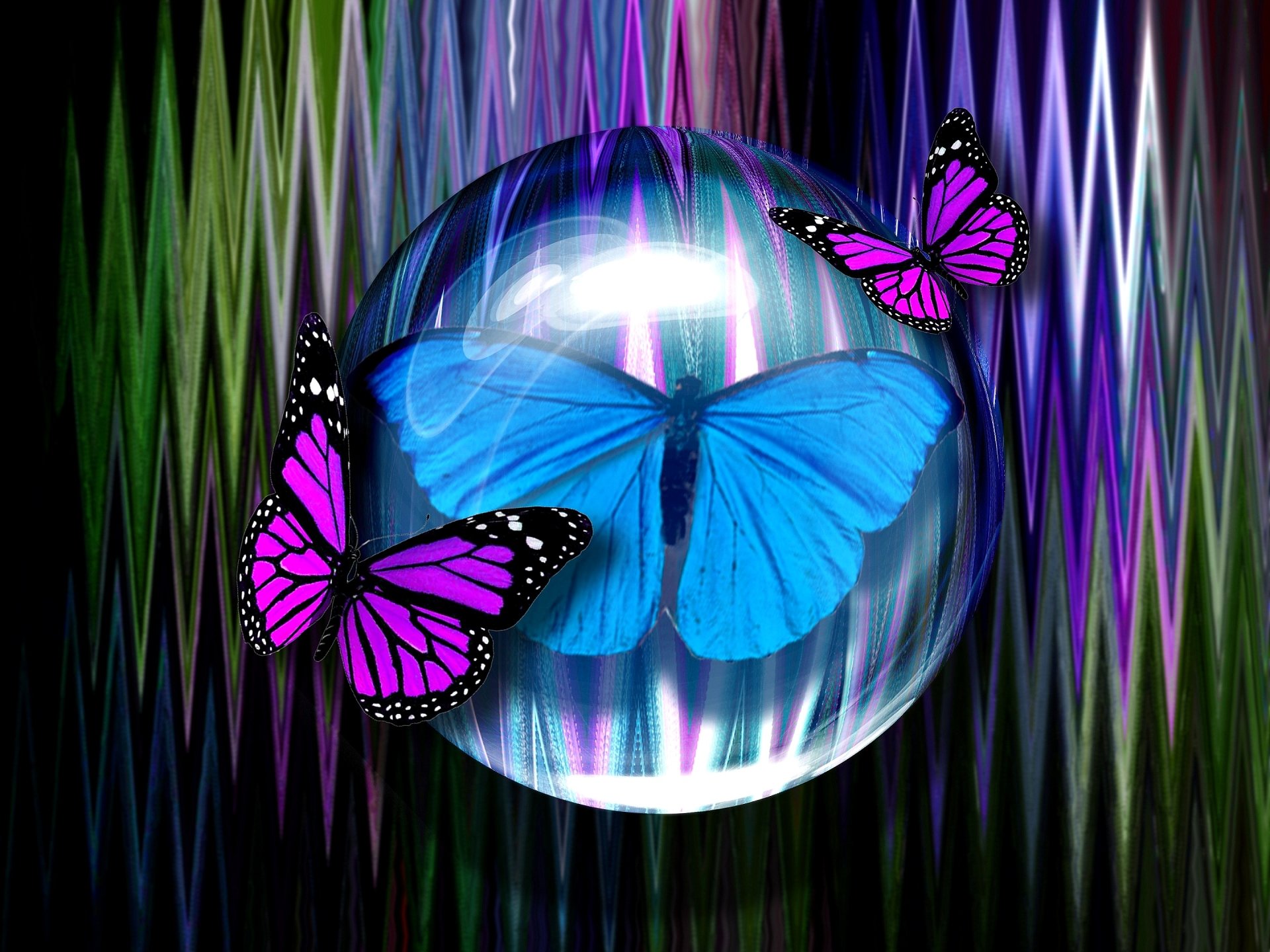 Download Purple Blue Artistic Butterfly HD Wallpaper
