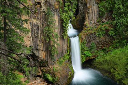 Oregon toketee falls nature waterfall HD Desktop Wallpaper | Background Image