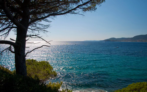 horizon nature ocean HD Desktop Wallpaper | Background Image