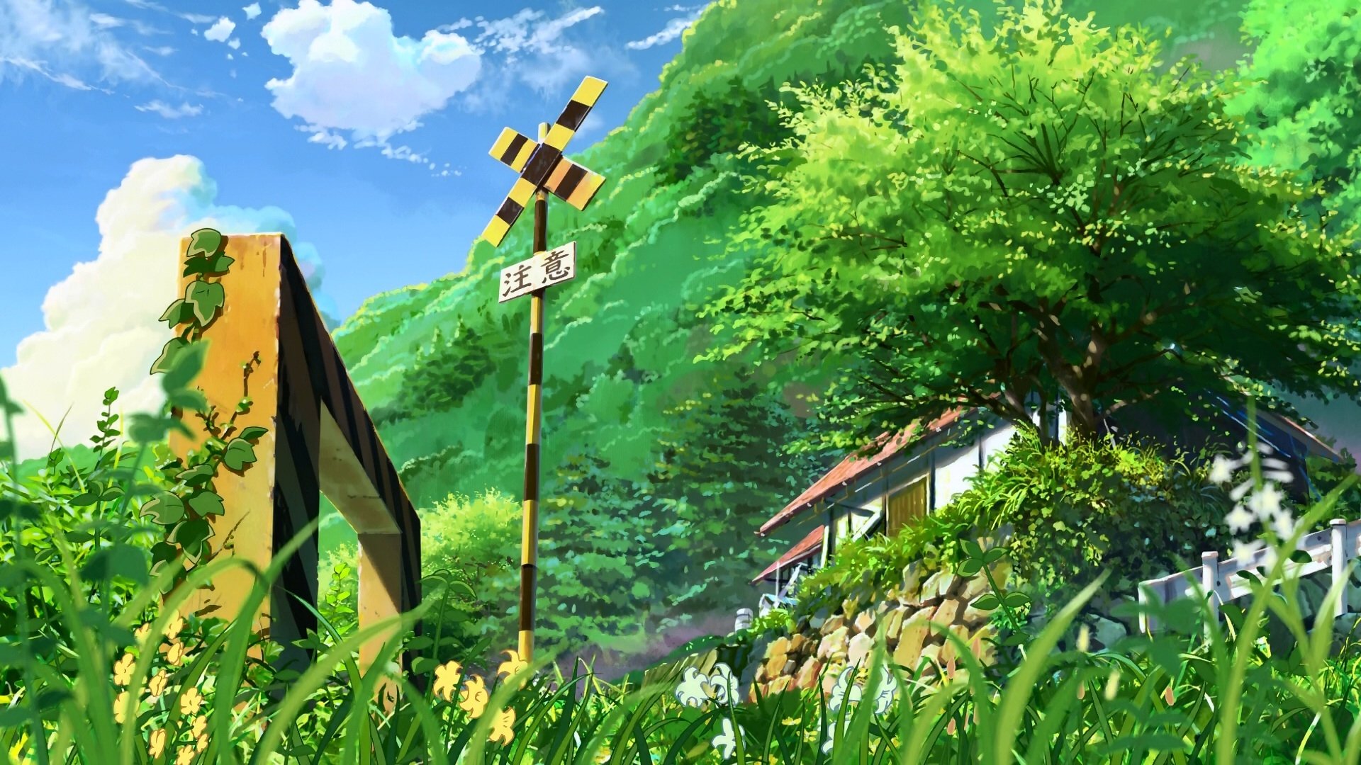 Download Anime Children Who Chase Lost Voices HD Wallpaper