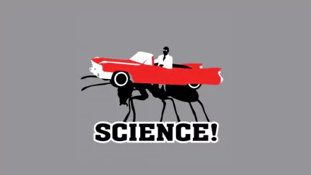 A humorous HD wallpaper featuring a person in a red convertible car riding on a giant ant, boldly proclaiming SCIENCE! in an amusing twist on scientific themes.