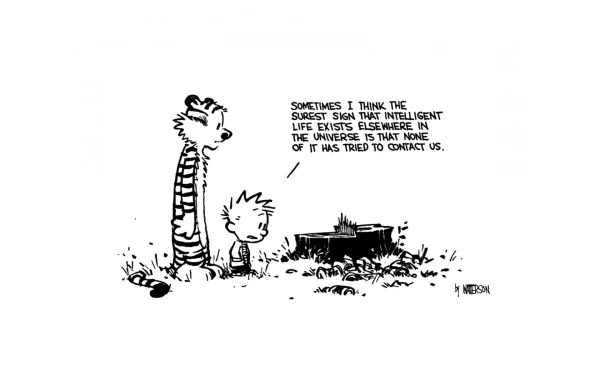 A whimsical black-and-white comic scene from Calvin & Hobbes, featuring Calvin and Hobbes pondering life's mysteries beside a campfire, capturing their unique friendship and humor.