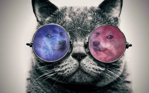 HD desktop wallpaper featuring a cat with sunglasses reflecting the Doge meme on a monochrome background.