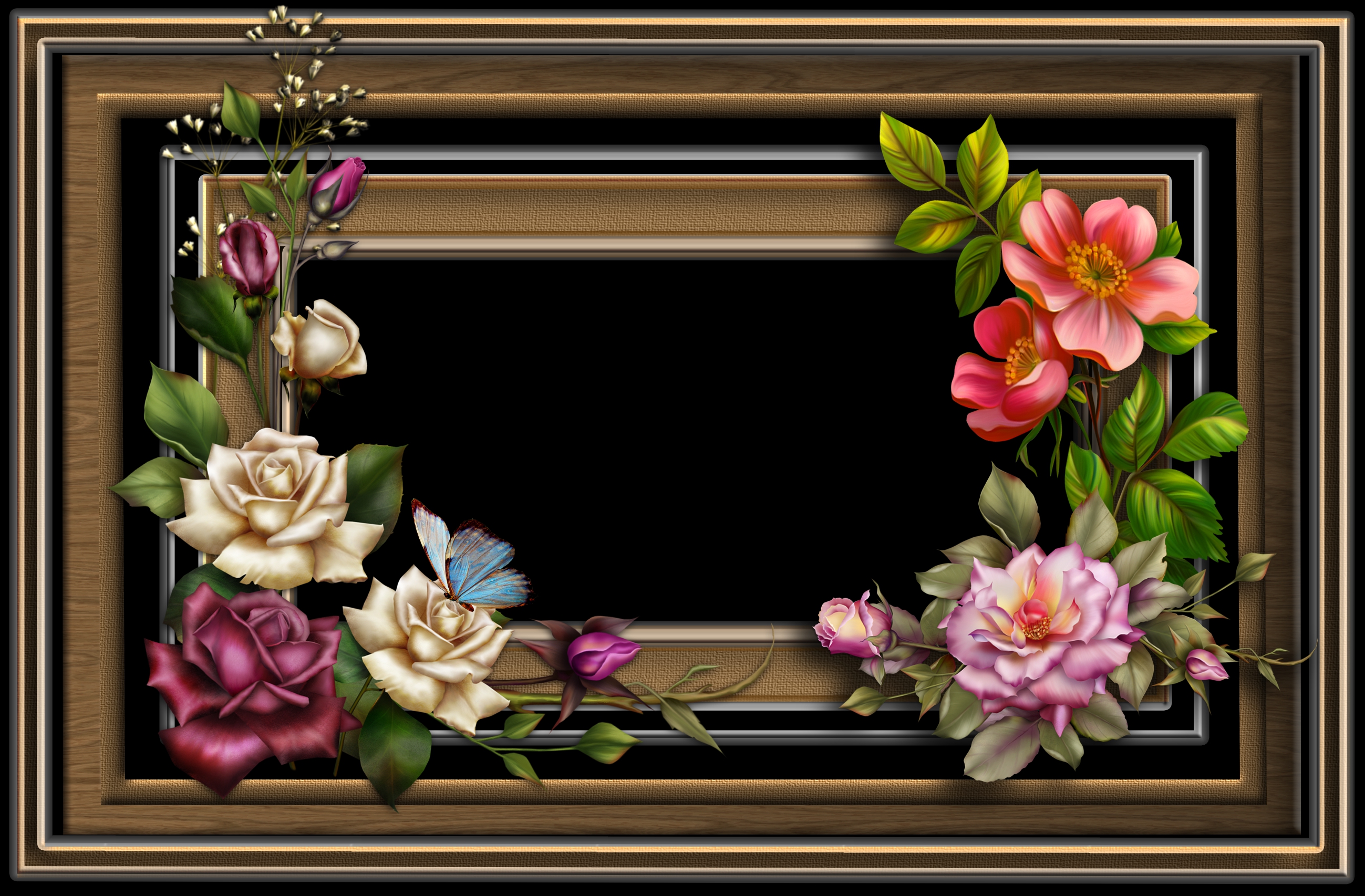 Artistic Frame HD Wallpaper | Background Image