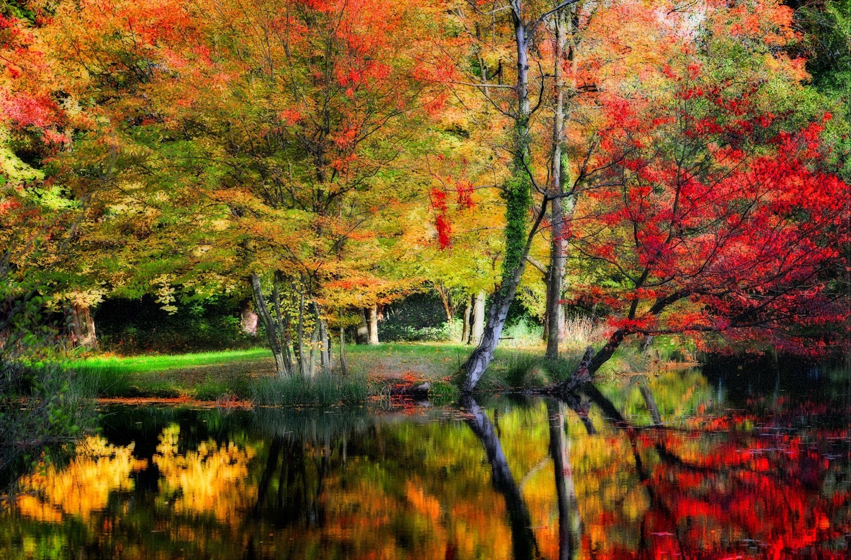 Autumn Trees Reflected In The Lake