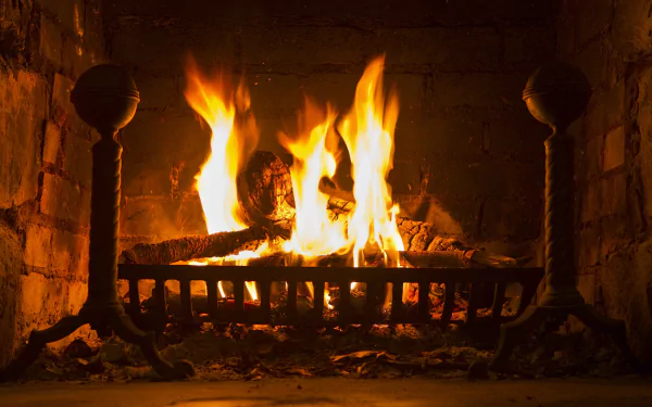  Fireplace Fire