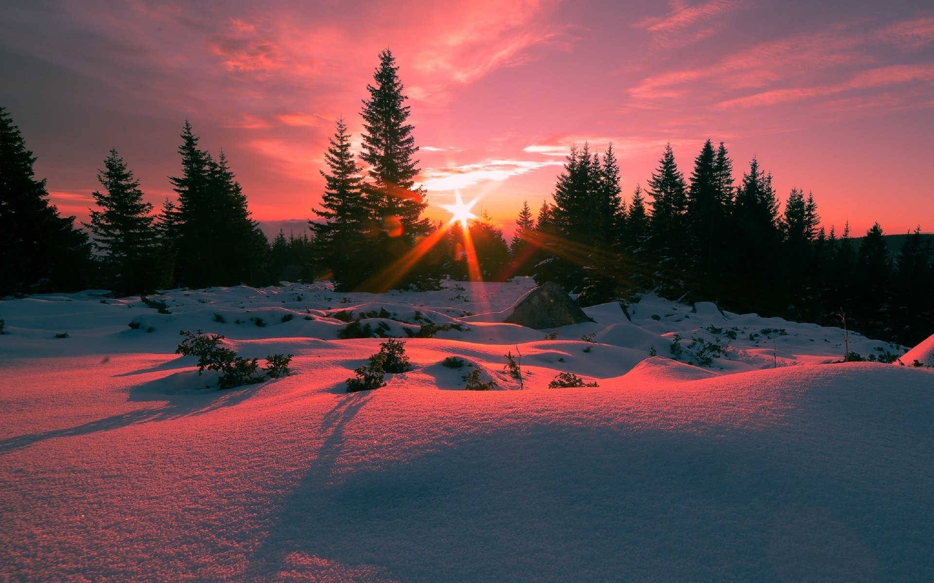 Snowy Sunset Wallpaper