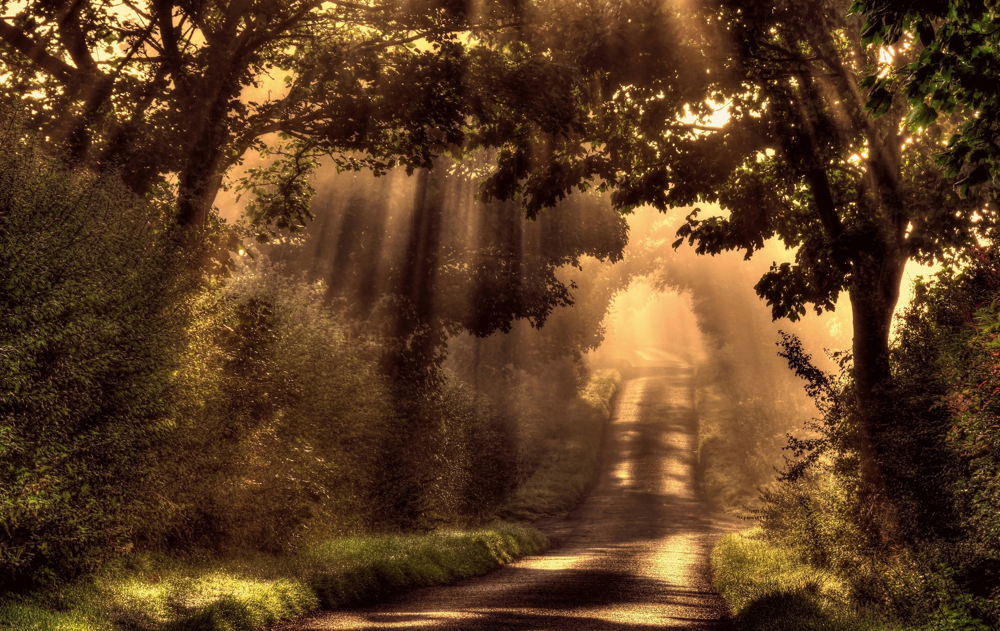 Road HD Wallpaper