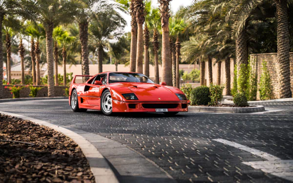 Red Ferrari F40 supercar parked on a palm-lined cobblestone street, captured in high-definition for a stunning PC desktop wallpaper and background.