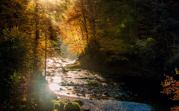 nature river HD Desktop Wallpaper | Background Image