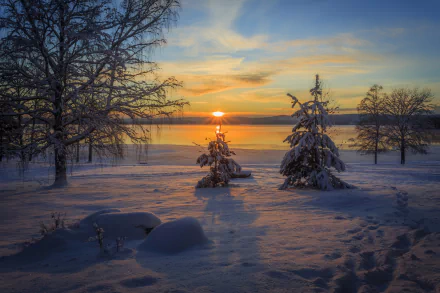 HD desktop wallpaper depicting a winter nature scene of snow-covered trees at sunset, with the sun casting warm hues across a peaceful landscape.