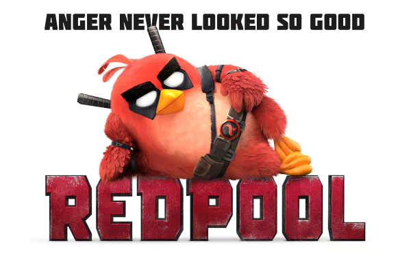 movie The Angry Birds Movie HD Desktop Wallpaper | Background Image