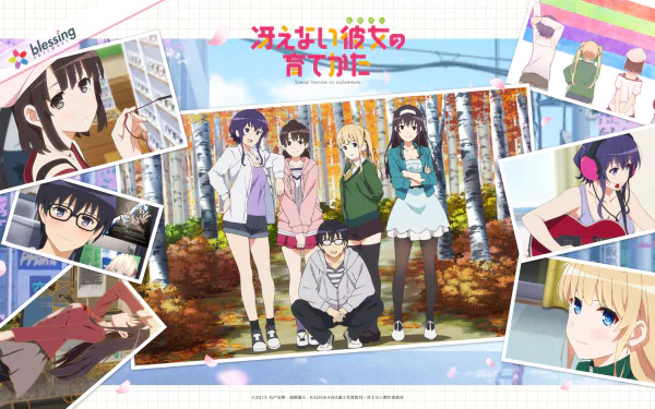 HD wallpaper featuring characters Michiru Hyodo, Tomoya Aki, Eriri Spencer Sawamura, Utaha Kasumigaoka, and Megumi Katō from the anime Saekano: How to Raise a Boring Girlfriend, set against a vibrant background.