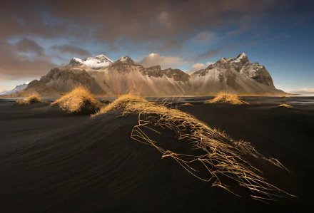Dramatic view of Vestrahorn Mountain rising over black sand dunes with golden grasses under a cloudy sky in Iceland, captured as an HD PC desktop wallpaper.