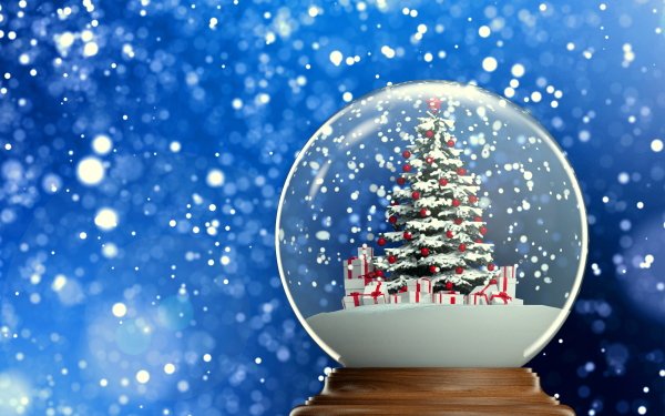 Holiday Christmas Gift Snow Globe Christmas Tree Snow HD Wallpaper | Background Image
