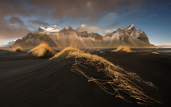 Dramatic view of Vestrahorn Mountain rising over black sand dunes with golden grasses under a cloudy sky in Iceland, captured as an HD PC desktop wallpaper.