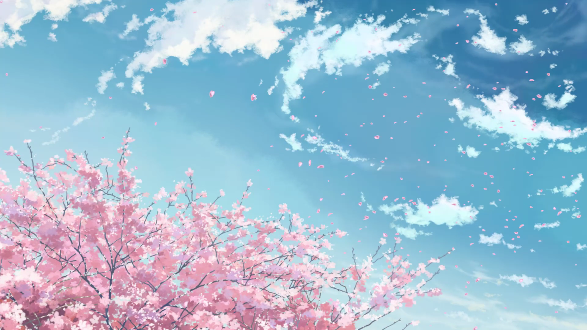 Anime HD PC desktop wallpaper/background: pink cherry blossoms and drifting petals beneath a bright blue sky with scattered clouds, capturing a tranquil crossroad moment.