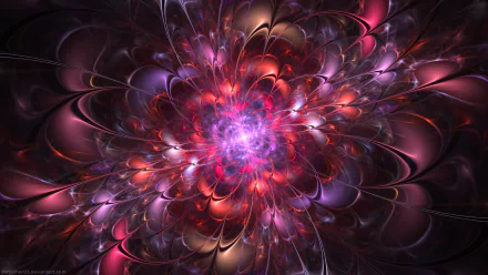 HD PC desktop wallpaper featuring an abstract purple fractal design with vibrant, glowing petals radiating from a bright center.