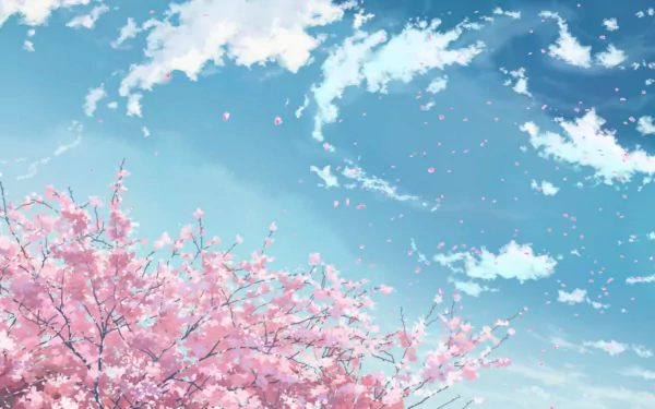 Anime HD PC desktop wallpaper/background: pink cherry blossoms and drifting petals beneath a bright blue sky with scattered clouds, capturing a tranquil crossroad moment.