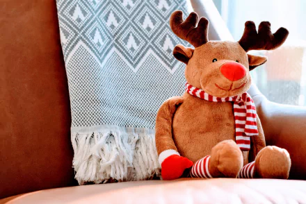 reindeer man made stuffed animal HD Desktop Wallpaper | Background Image