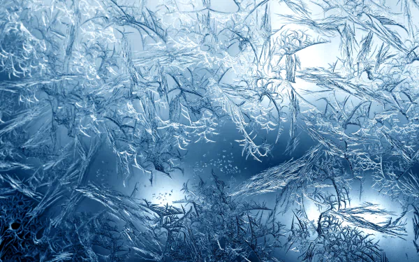  Frost on Window