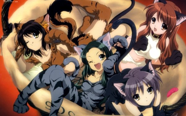 Anime The Melancholy Of Haruhi Suzumiya Haruhi Suzumiya Mikuru Asahina Yuki Nagato Tsuruya HD Wallpaper | Background Image