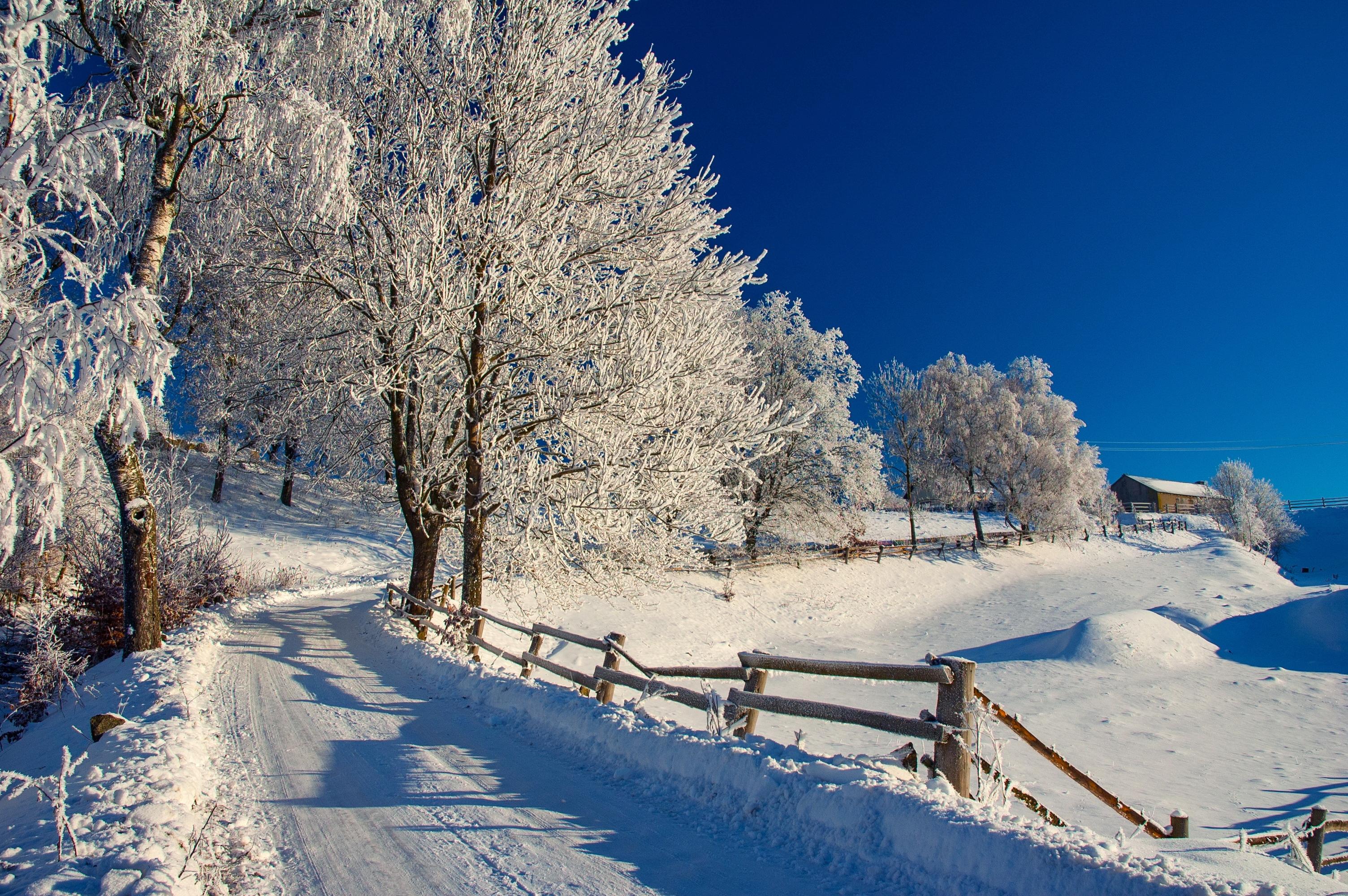 Winter Path HD Wallpaper | Background Image | 3008x2000 ...