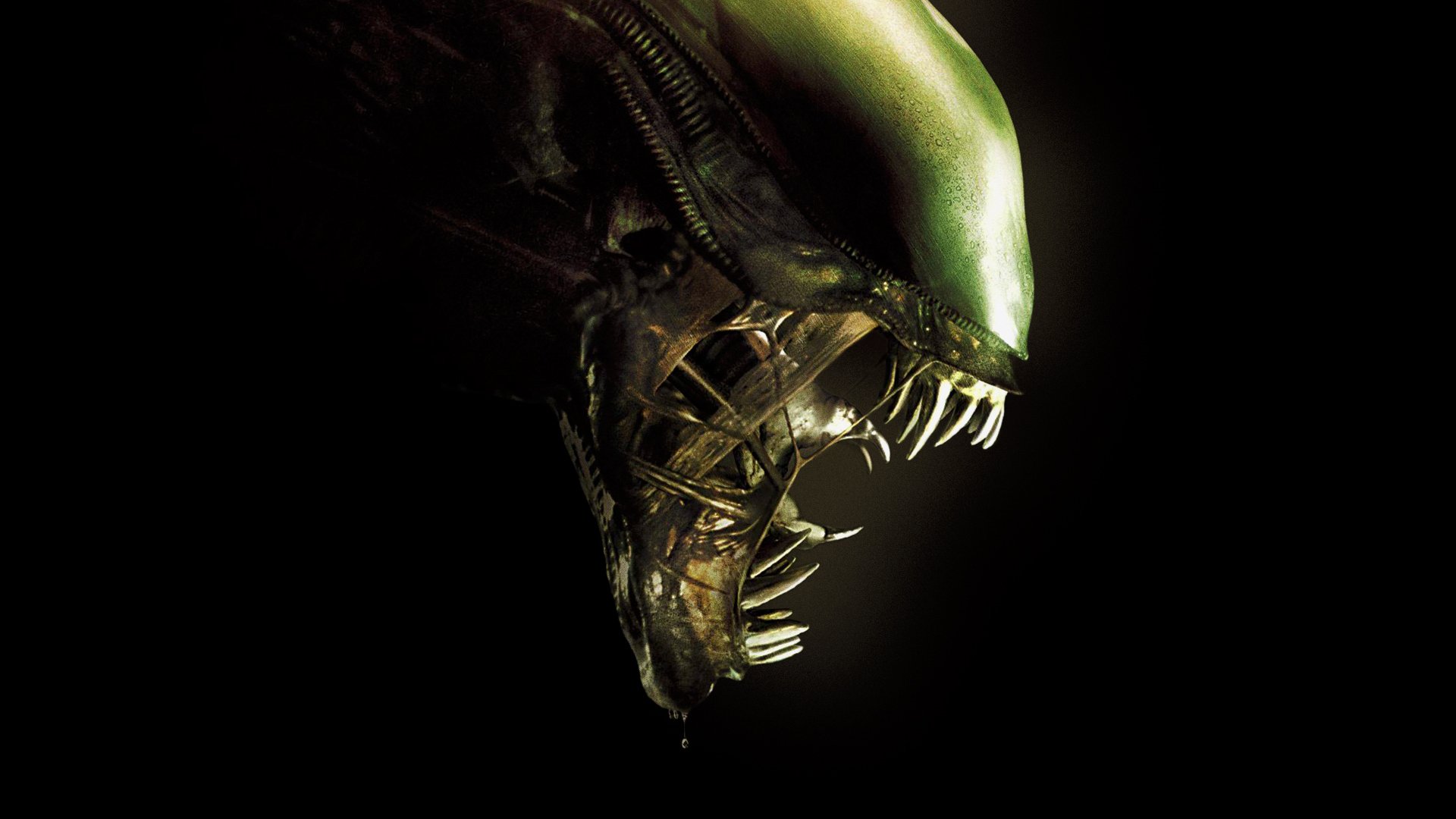 Alien Movie Desktop Wallpaper