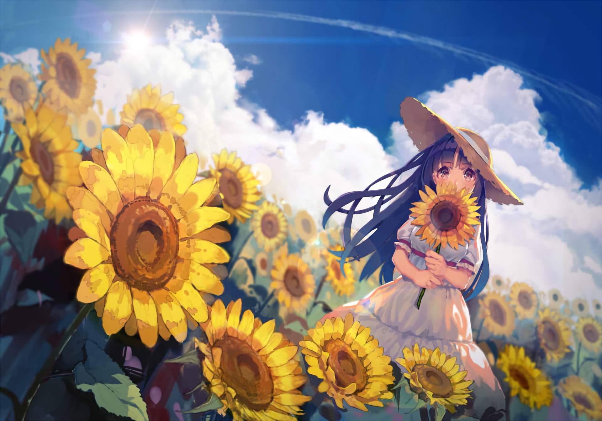 Sunflower Field Dream - Anime HD Wallpaper