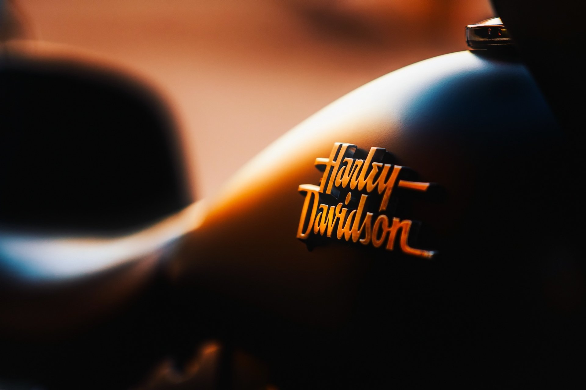 Close-up HD desktop wallpaper showing the Harley-Davidson logo on a motorcycle fuel tank with warm, blurred background lighting.