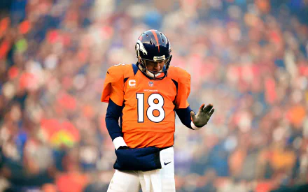 HD desktop wallpaper of a football player in an orange jersey with the number 18, on a blurred stadium background.
