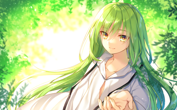 Anime Fate/Grand Order Fate Series Green Hair Yellow Eyes Long Hair HD Wallpaper | Background Image