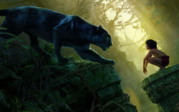 A high-definition wallpaper featuring Bagheera, a panther, and Mowgli from the 2016 movie The Jungle Book, set in a lush and mysterious jungle backdrop.
