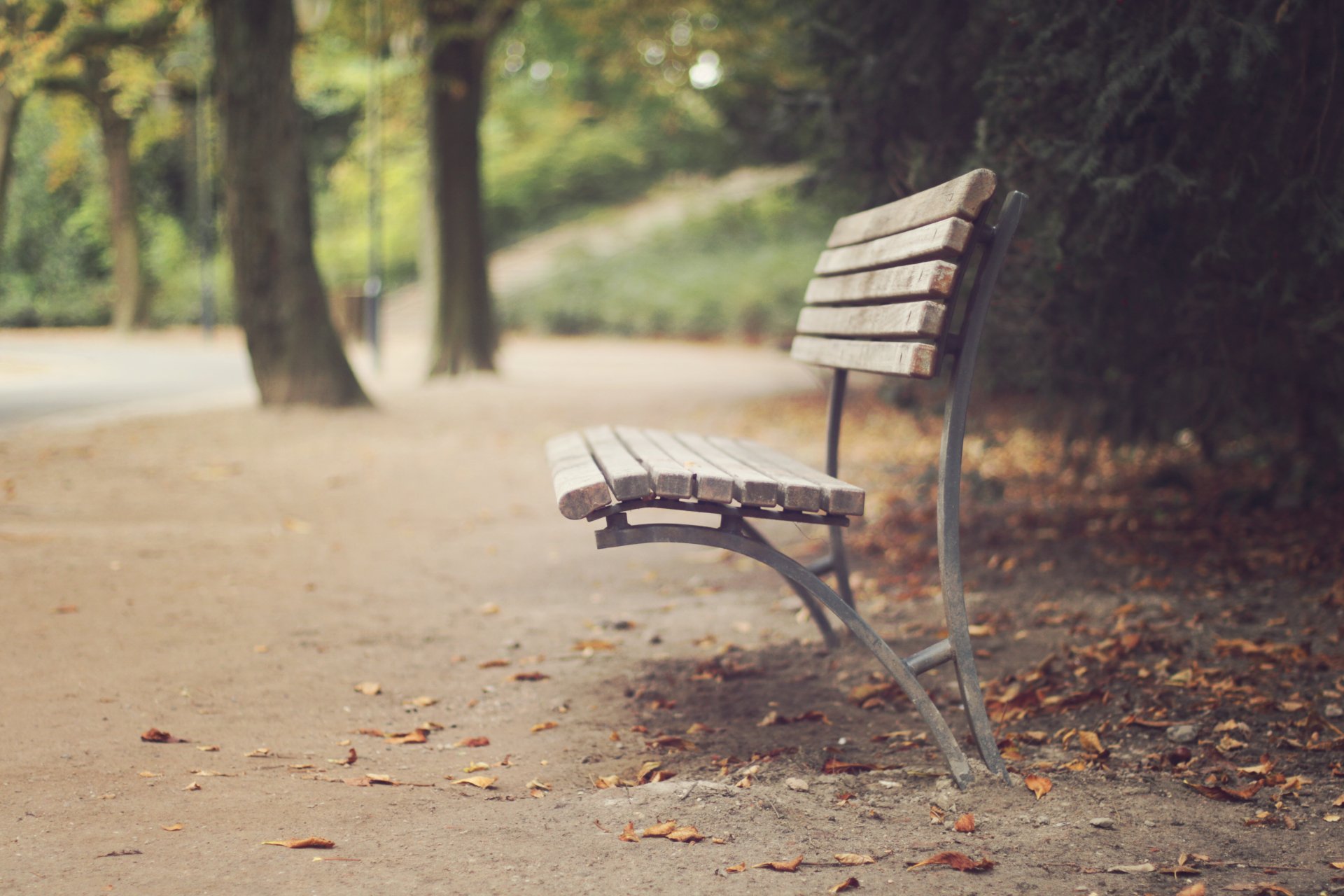 Serene Bench 4K Ultra HD Wallpaper