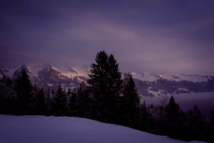 Purple evening winter landscape in Austria: snowy mountain peaks and fir trees silhouetted against a violet sky — HD PC desktop wallpaper background.