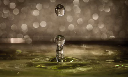 macro bokeh water nature water drop HD Desktop Wallpaper | Background Image