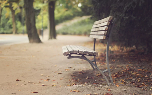 HD wallpaper featuring a blurred, serene park scene with a rustic wooden bench in the foreground, surrounded by fallen leaves and distant trees.