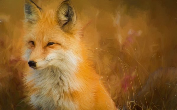 Animal Fox Oil Painting Painting HD Wallpaper | Background Image