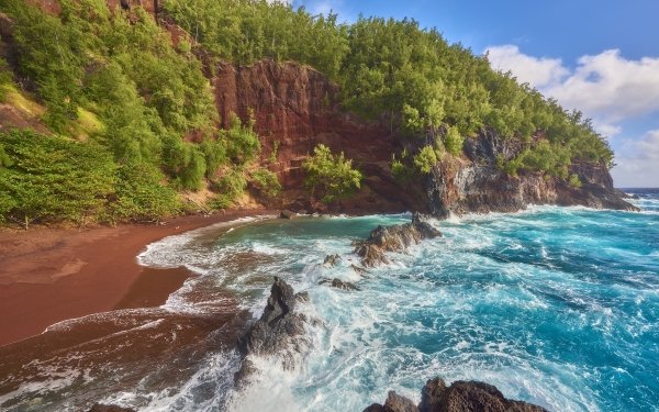 Earth Coastline Coast Cliff Tree Ocean Sea Turquoise HD Wallpaper | Background Image