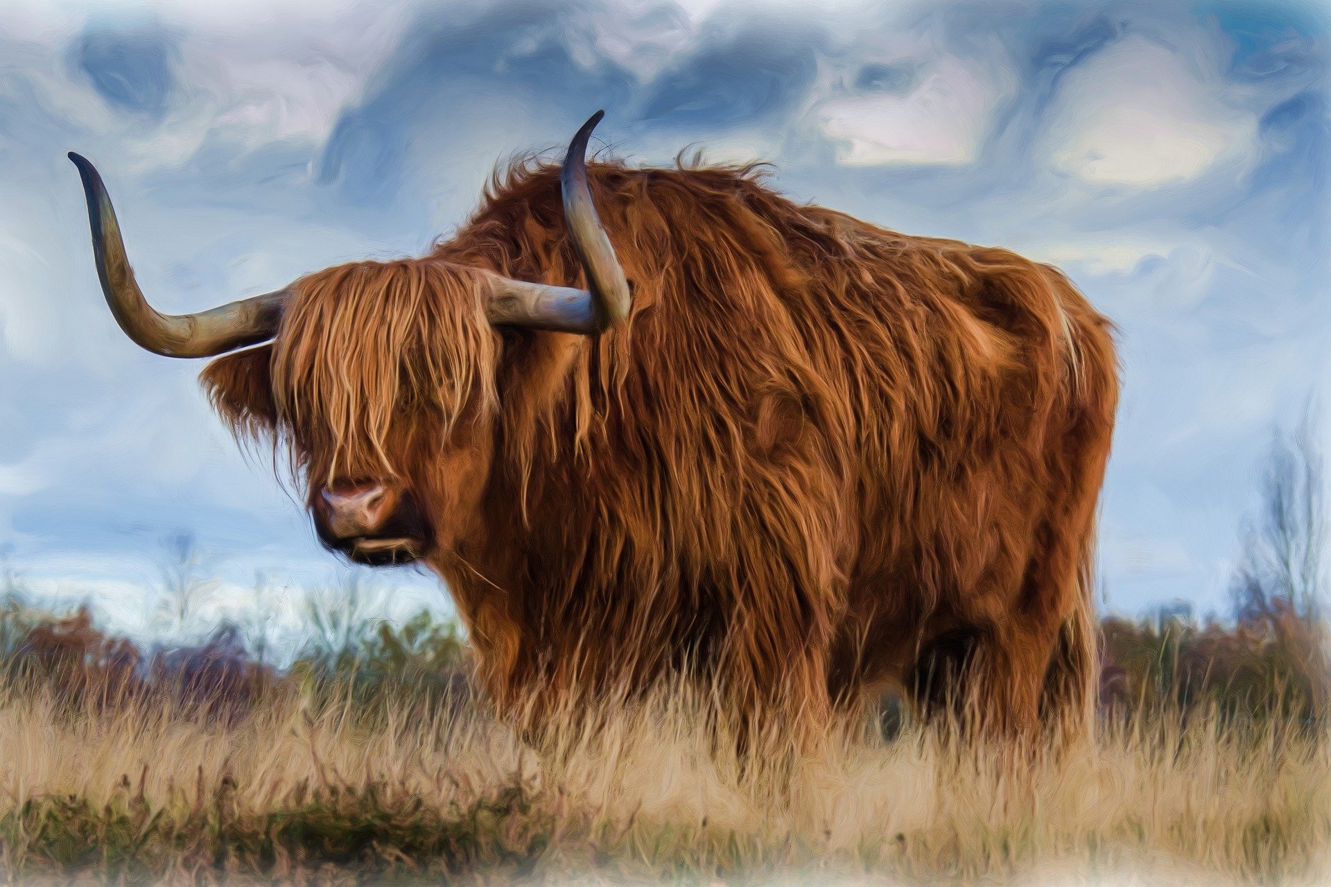 HD oil painting-style desktop wallpaper depicting a shaggy brown cow with long horns standing in a grassy field under a cloudy sky.