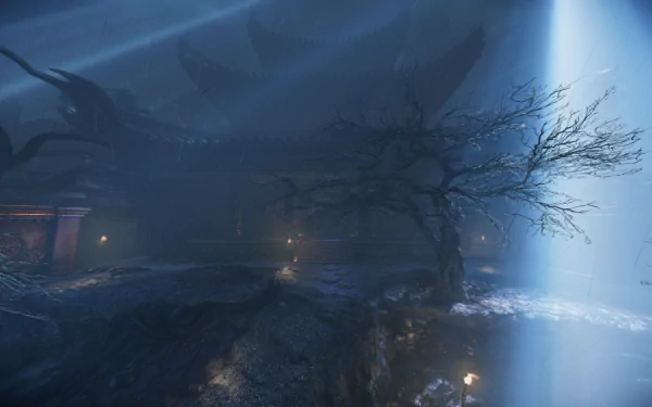  Beams of Light