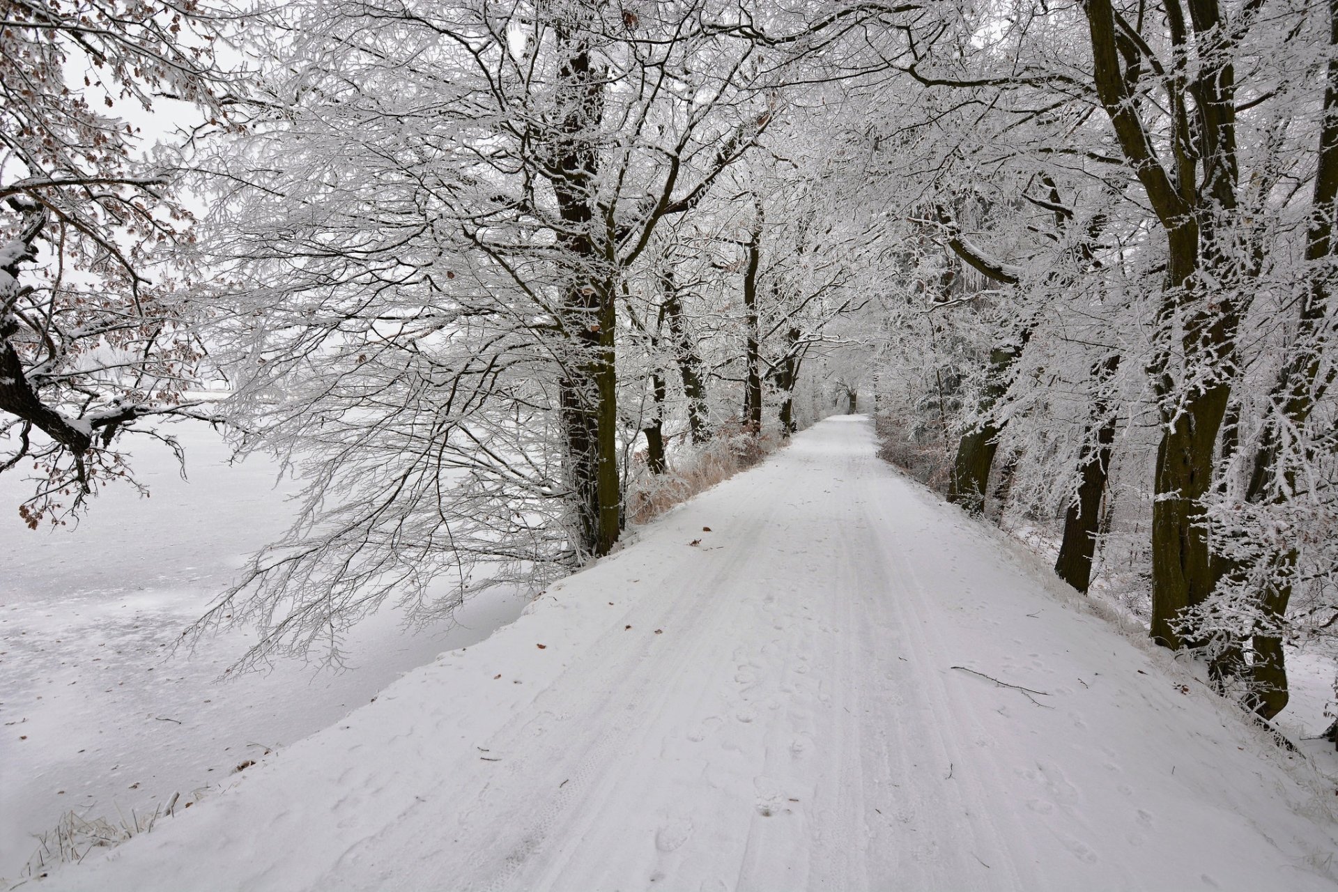 Download Snow Winter Tree Nature Man Made Road HD Wallpaper