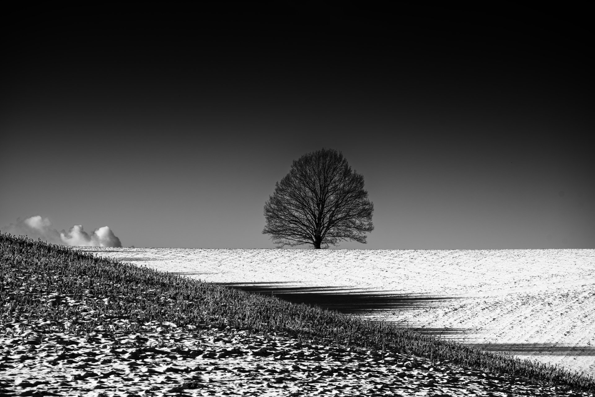 Black and white 4K Ultra HD desktop wallpaper featuring a solitary tree standing in a vast snow-covered field under a clear sky.