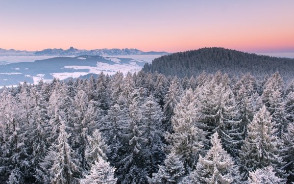 Nature Landscape Forest Aerial Winter HD Wallpaper | Background Image