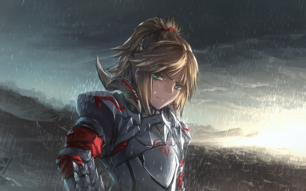 Anime Fate/Apocrypha Fate Series Mordred Long Hair HD Wallpaper | Background Image