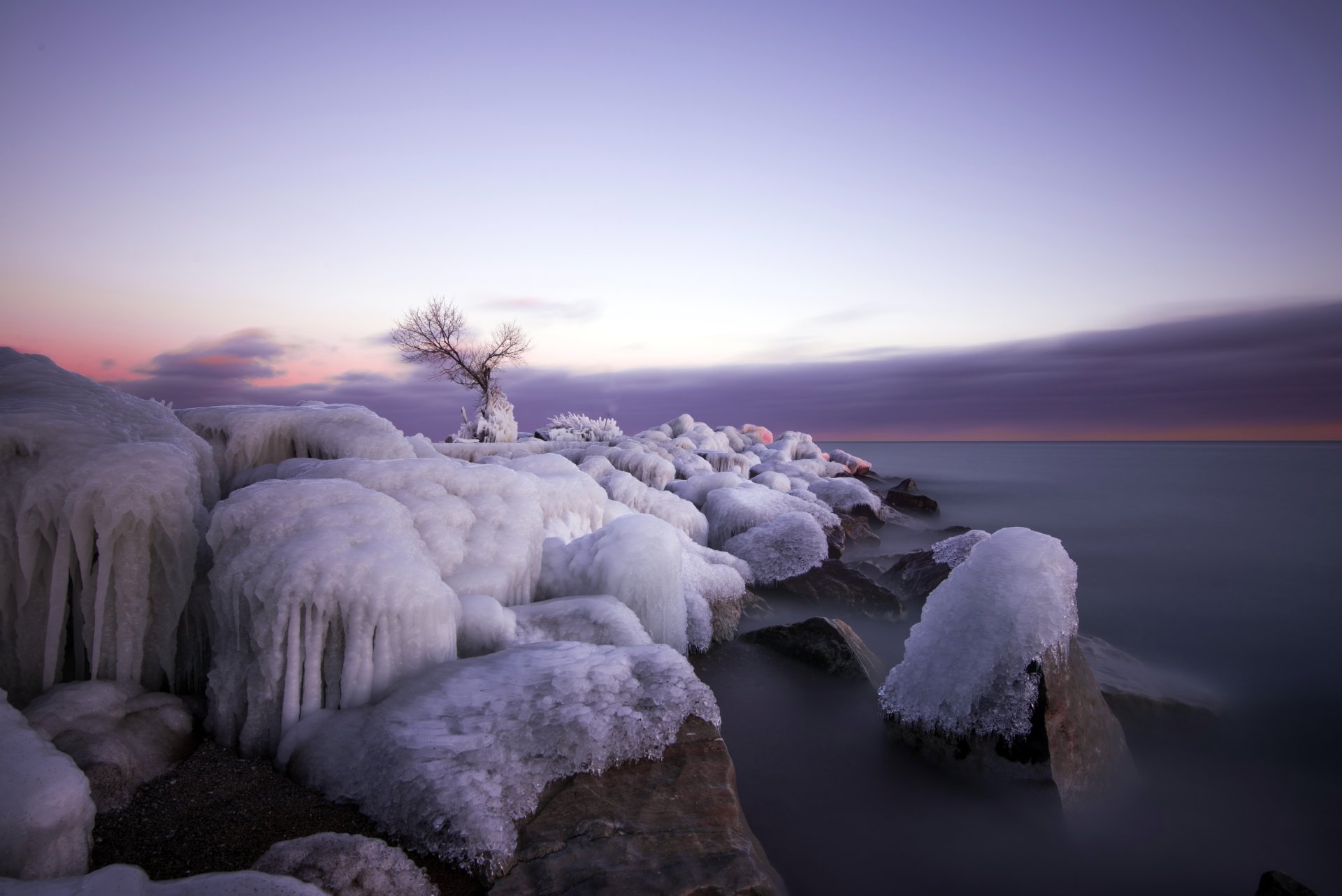 5K Ultra HD PC desktop wallpaper: a lonely tree on an icy winter shoreline, frozen rocks and the calm ocean beneath a pastel dawn sky.