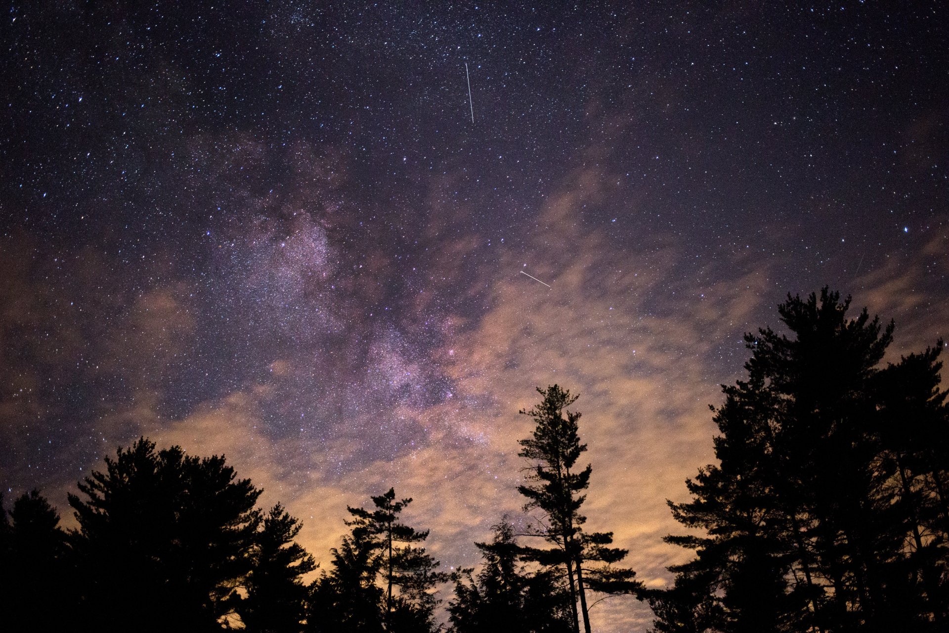 HD desktop wallpaper of a nature scene at night, showcasing a starry sky with twinkling stars above silhouetted trees.