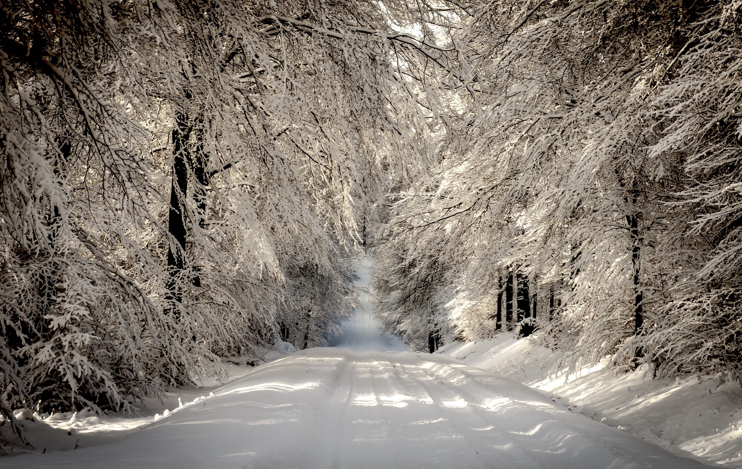 Фото Зима Снег